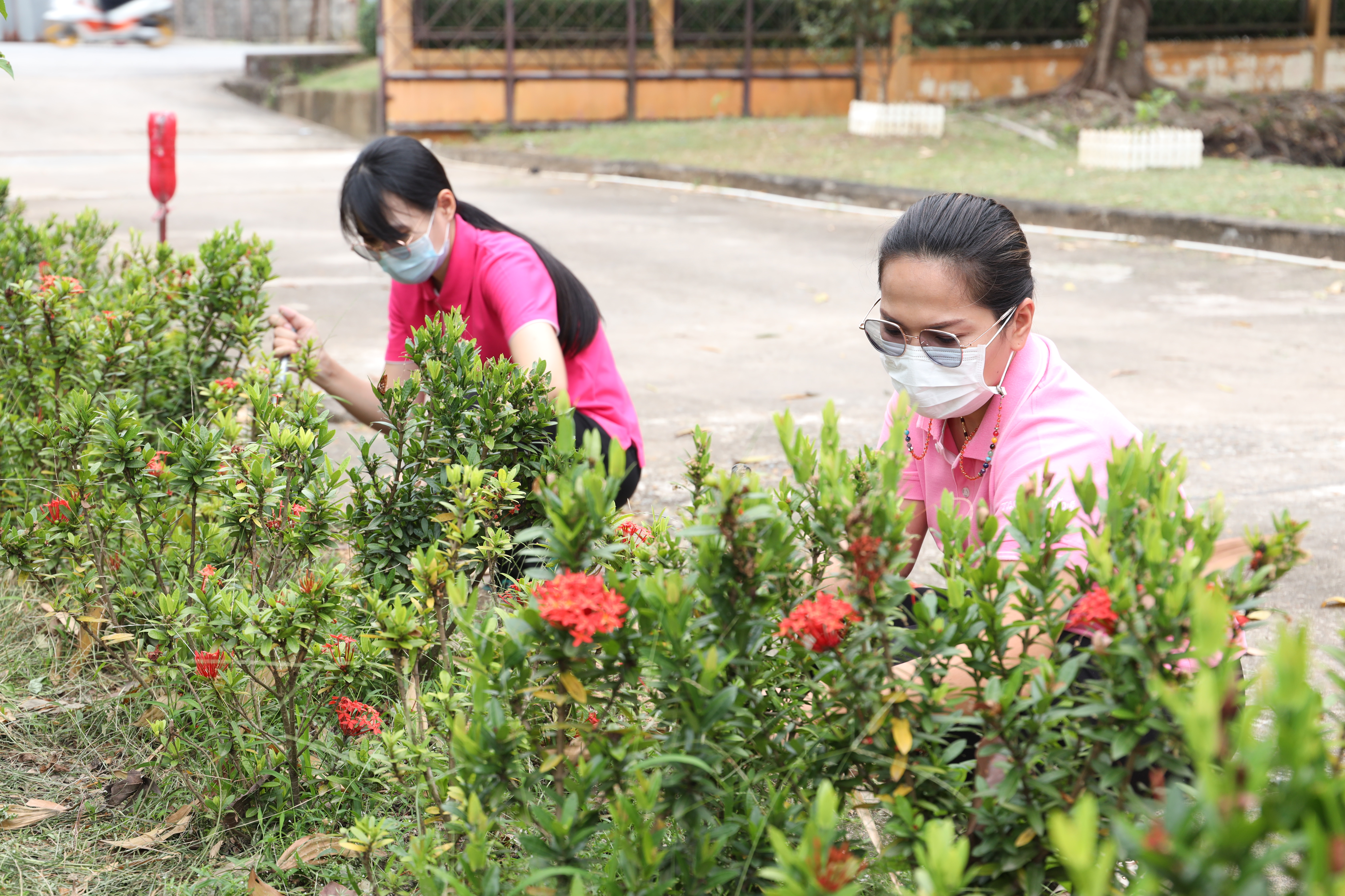 title - ส.ป.ก.จันทบุรีจัดกิจกรรมวันรักต้นไม้ประจำปีของชาติ พ.ศ. 2565